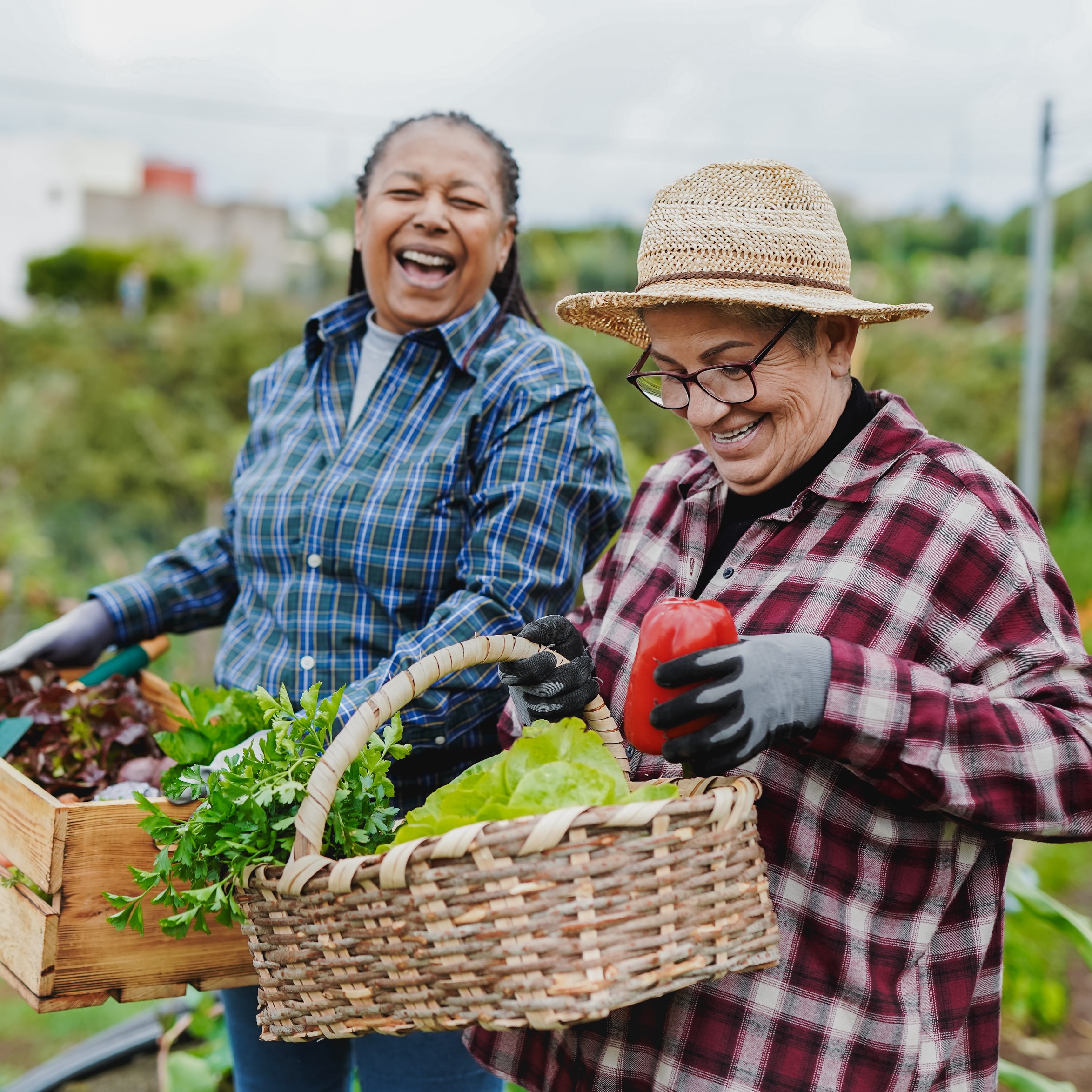 Two smiling adults hold baskets of fresh vegetables smiling in a garden.