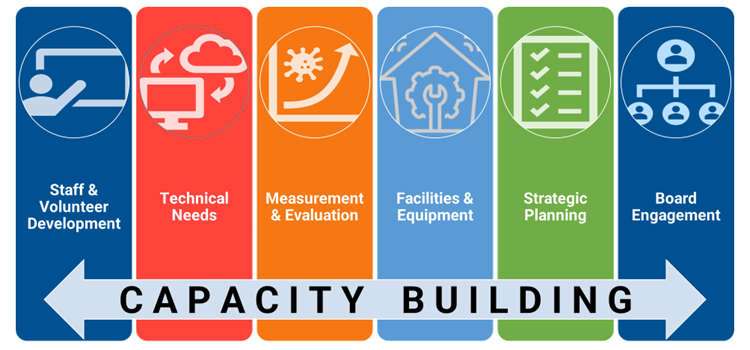 Graphic highlighting different capacity building focus areas