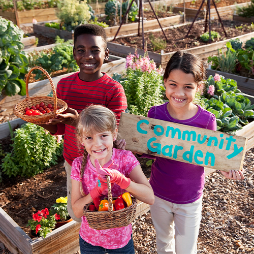 Group of kids in a garden, a little girl holds a basket of fresh vegetable. Another girl holds a sign that says community garden.